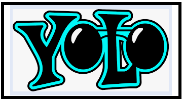 YOLO در بینا اکسپرتز