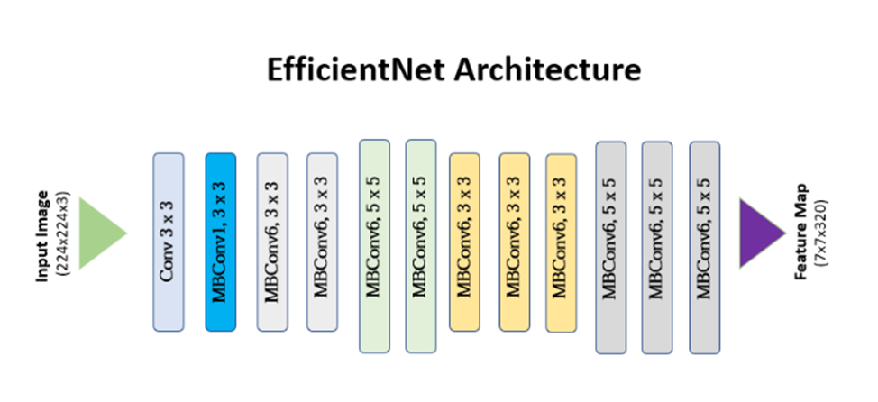 EfficientNet در بینا اکسپرتز- معماری EfficientNet