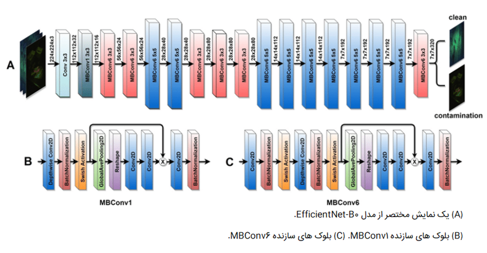 تعادل بین اندازه مدل و عملکرد در  EfficientNet 