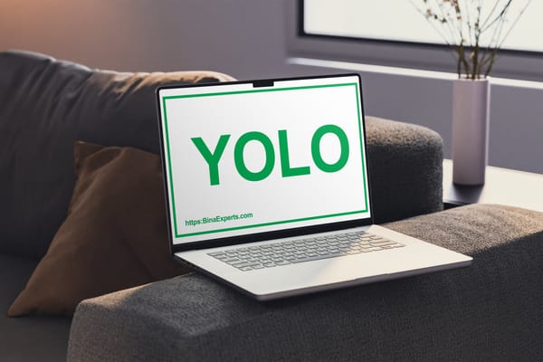 انواع مدل های هوش مصنوعی در بینا اکسپرتز-YOLO