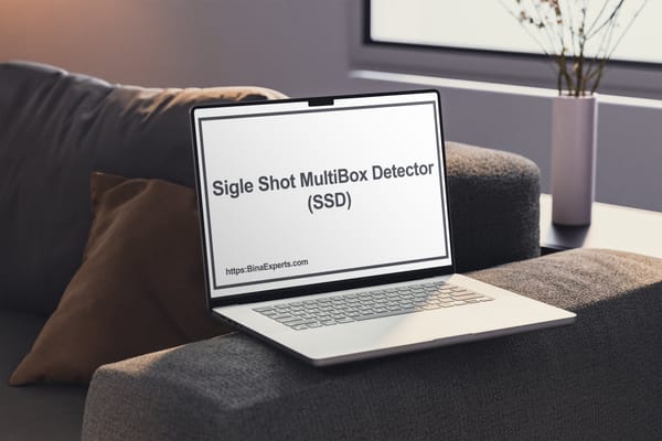 انواع مدل های هوش مصنوعی در بینا اکسپرتز_ Single Shot Multibox Detector (SSD)